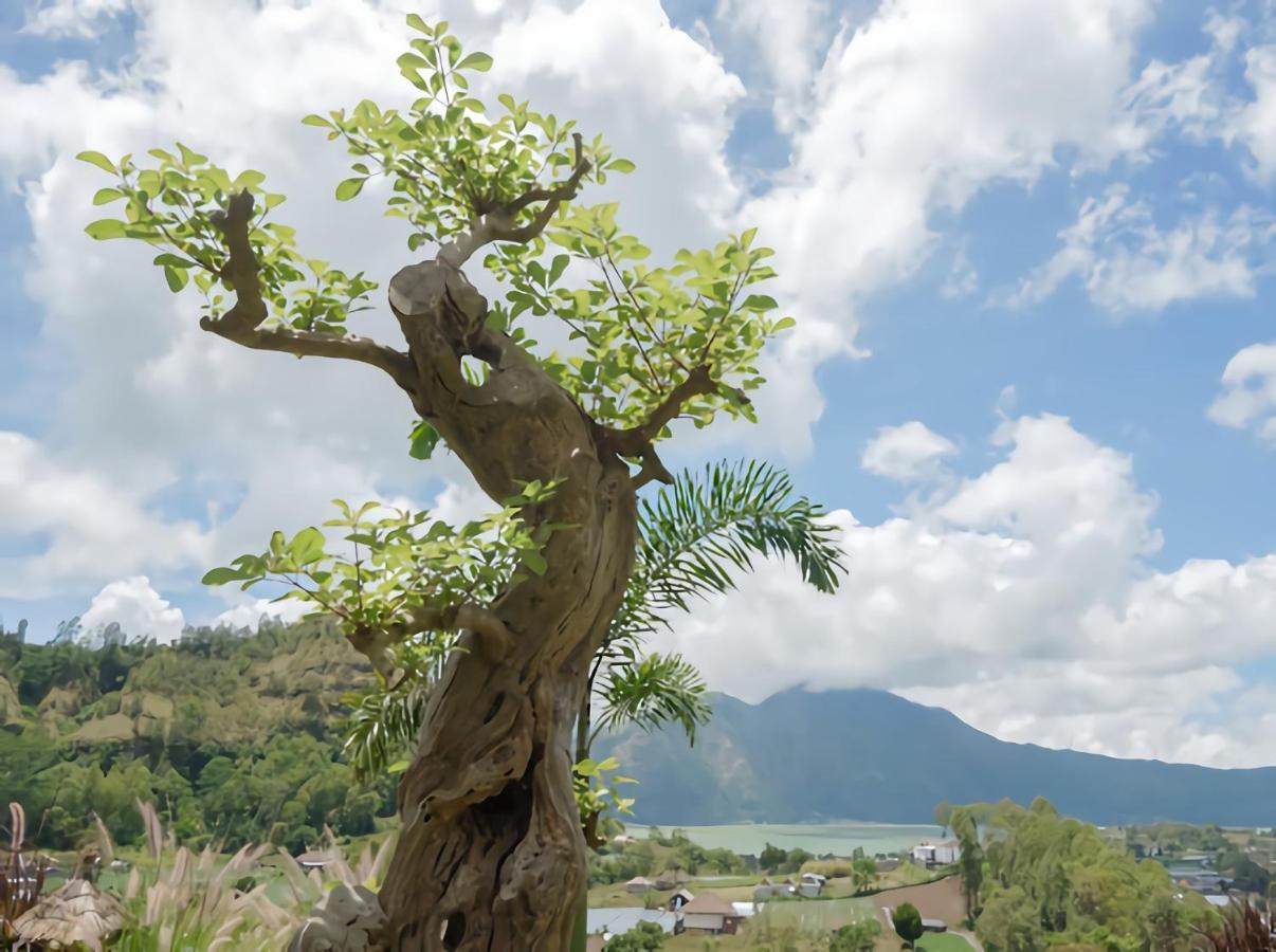 Вилла Batur Cliff Panorama Baturaja  Экстерьер фото